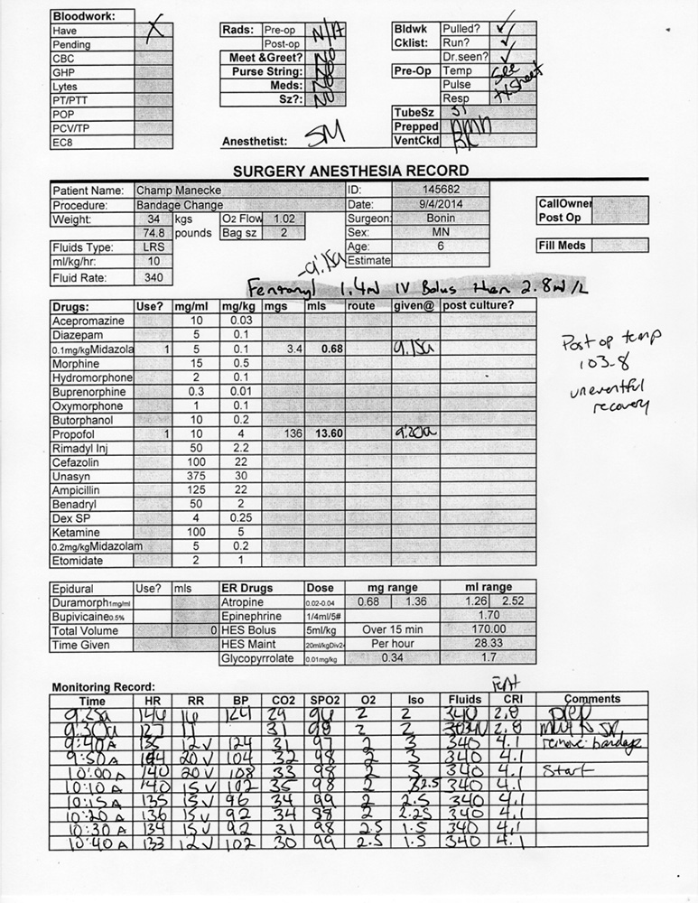 record_0008_sx_bonin-pdf
