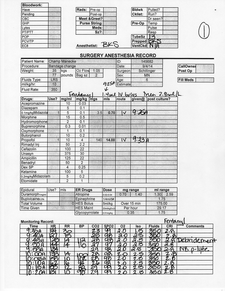 record_0009_sx_schillinger-pdf